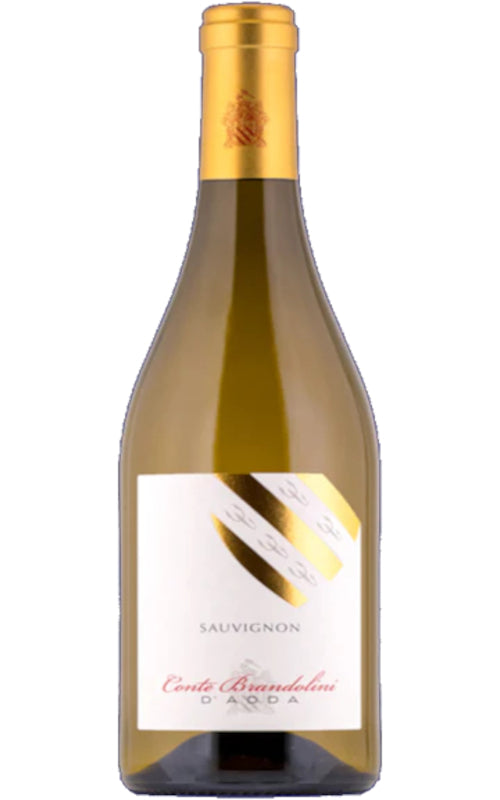 Sauvignon Blanc DOC Friuli, Conte Brandolini, Friuli-Venezia Giulia
